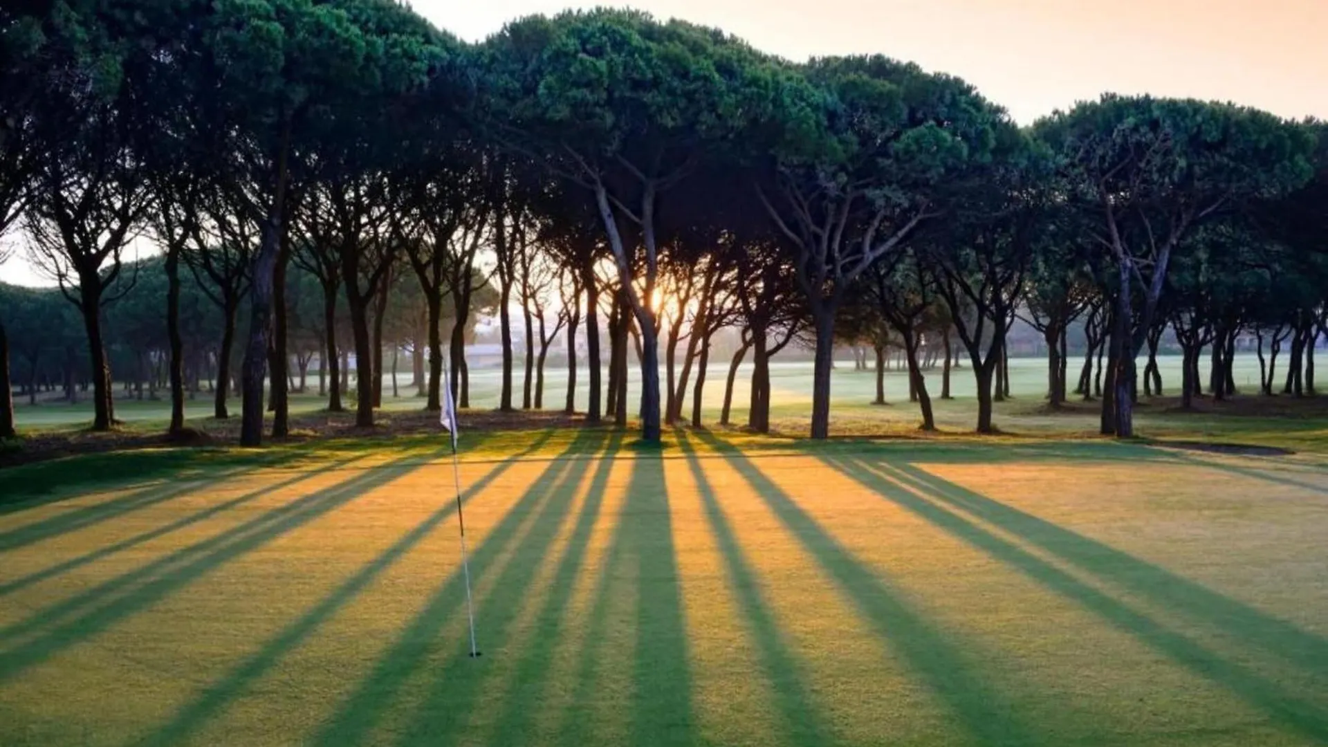 Piverd Del Golf 74 Pals